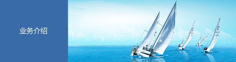 业务介绍