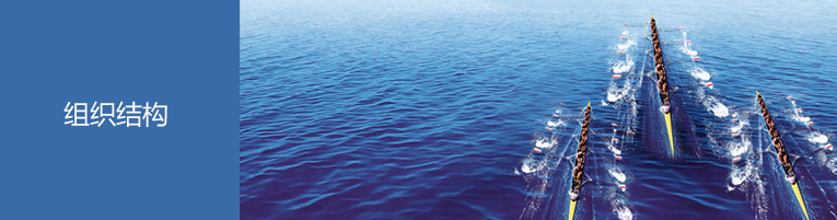 组织结构