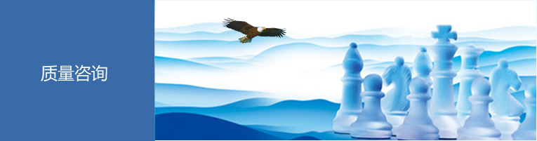 质量咨询