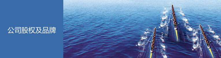 公司股权及品牌